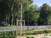 Accessoires de plantation Novagreen