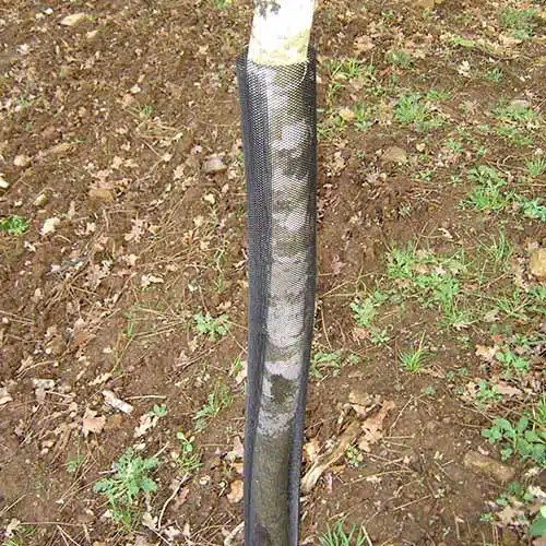 BHSHUXI Protection de tronc d'arbre en plastique pour éviter les dommages  causés par les tondeuses, tondeuses et rongeurs